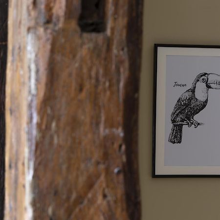 Le Toucan By Cocoonr Rennes Luaran gambar