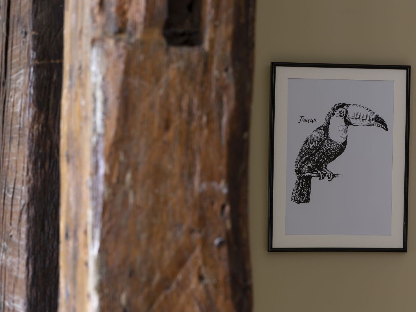 Le Toucan By Cocoonr Rennes Luaran gambar